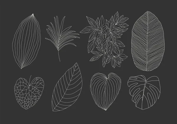 Linha botânica minimalista deixa elementos para colagem abstrata — Vetor de Stock