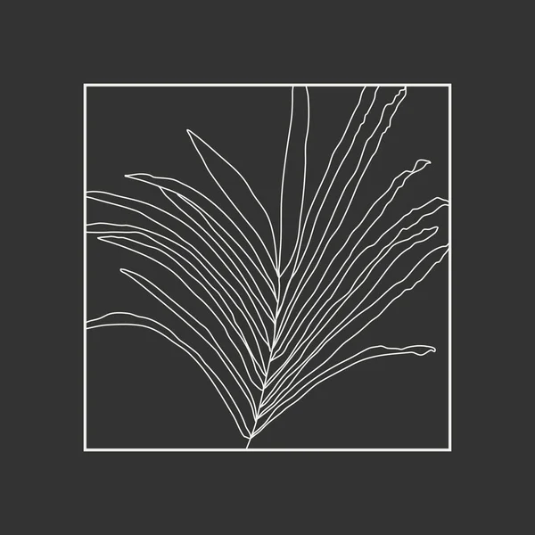 Μινιμαλιστική βοτανική γραμμή συνθέσεις τέχνης με φύλλα αφηρημένο κολάζ — Διανυσματικό Αρχείο
