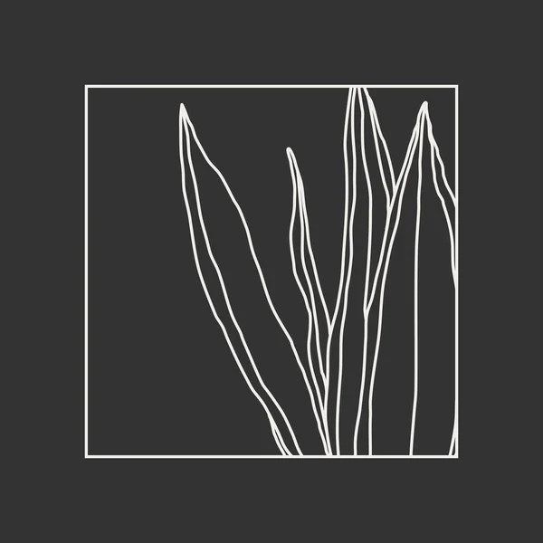 Composições botânicas minimalistas da arte da linha com colagem abstrata das folhas — Vetor de Stock
