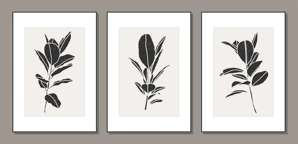 一套时髦的 简约的 带有分枝和叶面的植物矢量图解 理想的艺术画廊 现代墙面艺术海报 简约室内设计 — 图库矢量图片