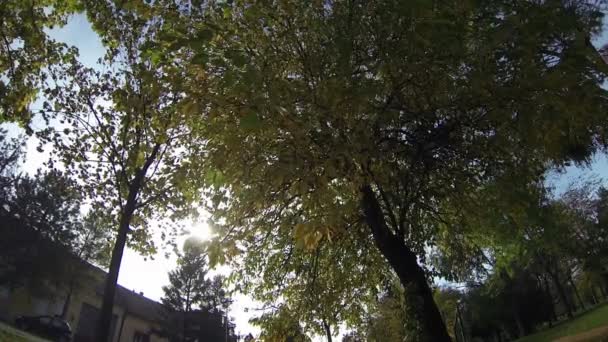 Journée ensoleillée d'automne dans le parc de la ville. — Video