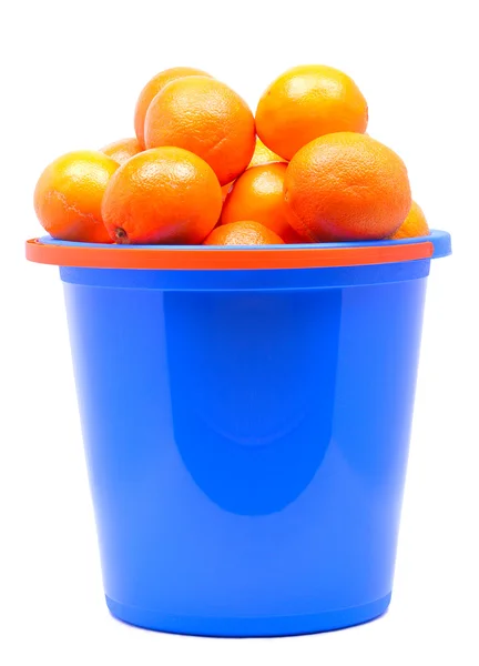 Fresh tangerines in a bucket — Stock Photo, Image