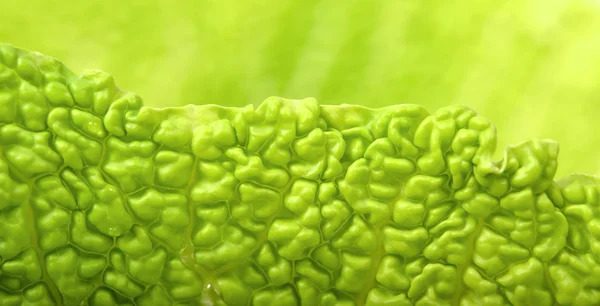 Leaves of savoy cabbage — Stock Photo, Image