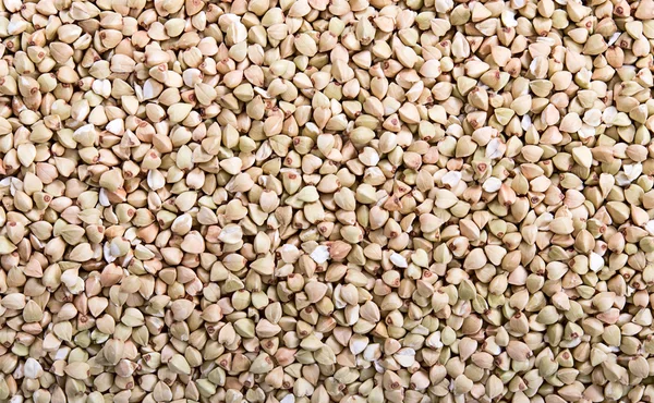 Buckwheat — Stock Photo, Image