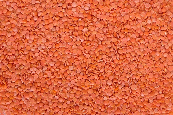 Red lentil — Stock Photo, Image