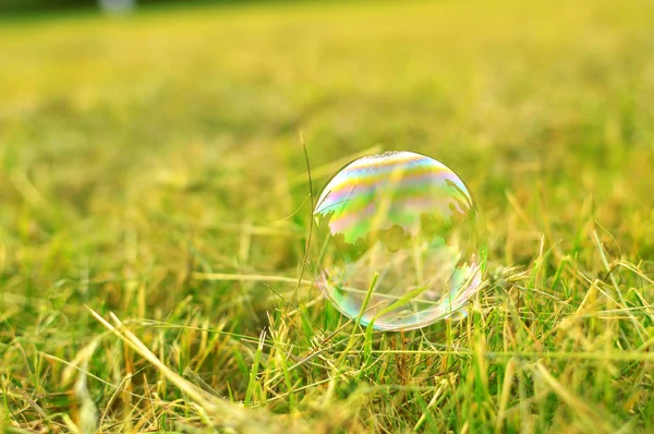 Soap bubble on a grass Royalty Free Stock Images