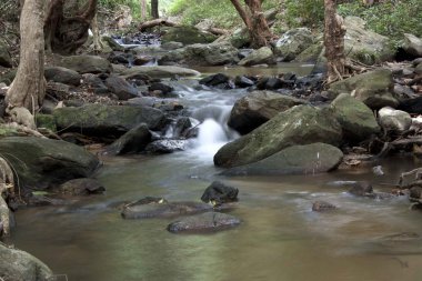 Şelalesi, doğa, orman, Tayland