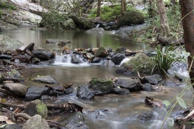 Şelalesi, doğa, orman, Tayland