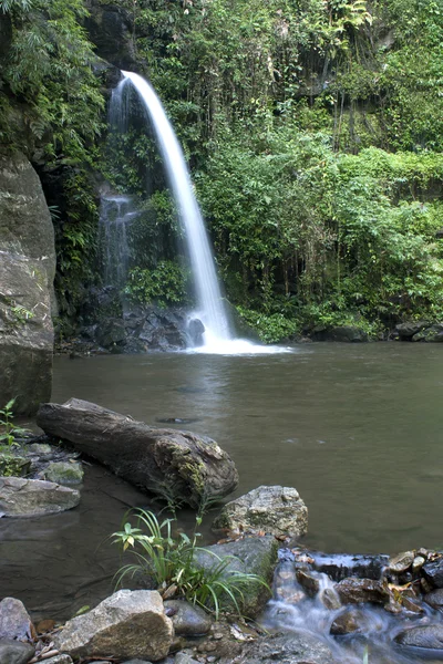 滝、自然、森林、タイ. — ストック写真