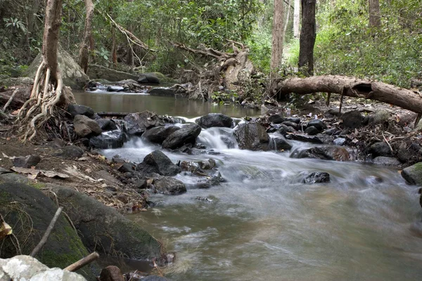 Cachoeira, natureza, floresta, tailândia — Fotografia de Stock