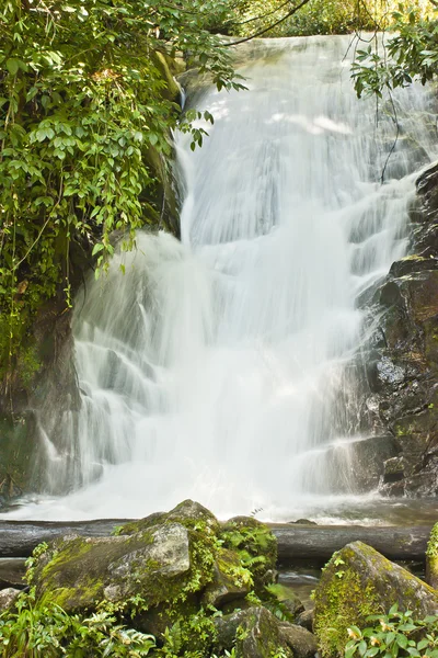 Cascadas — Foto de Stock