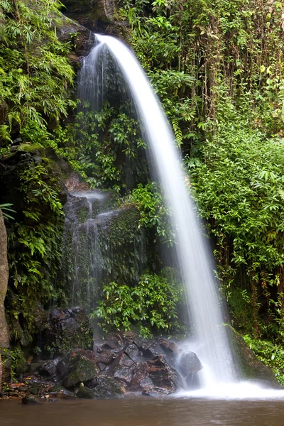 蒙塔 stream.waterfall — 图库照片