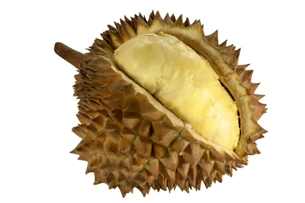 Durian. — Stock Photo, Image