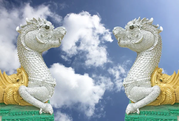 Thailandia cielo serpente . — Foto Stock