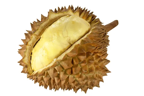 Durian. — Zdjęcie stockowe