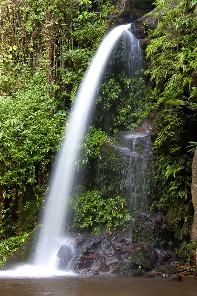 Monta stream.waterfall — Fotografia de Stock