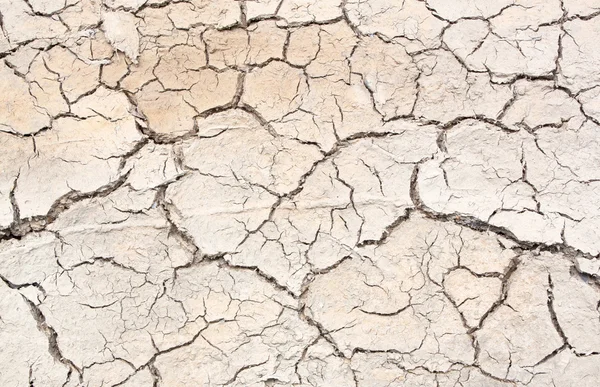 Crack v extrémní suchost podnebí země. — Stock fotografie