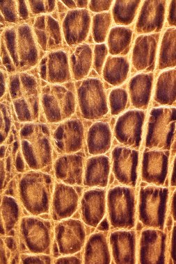 Sarı deri arka plan