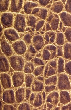 kahverengi deri dokulu arka plan deseni