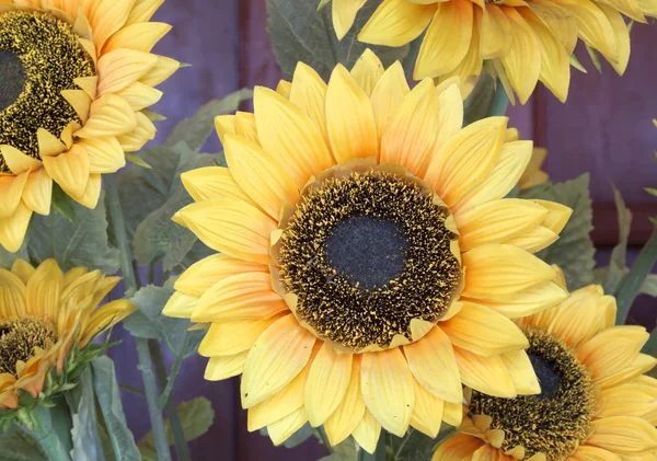 Sonnenblumenkunststoff. — Stockfoto