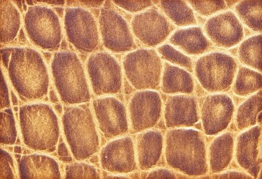 arka plan veya doku deri dokusu