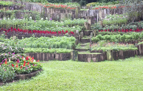 Veřejná zeleň zahrady a keře a květiny. — Stock fotografie