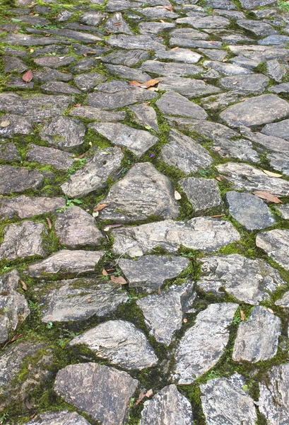 Stone walkway Moss — Stock Photo, Image