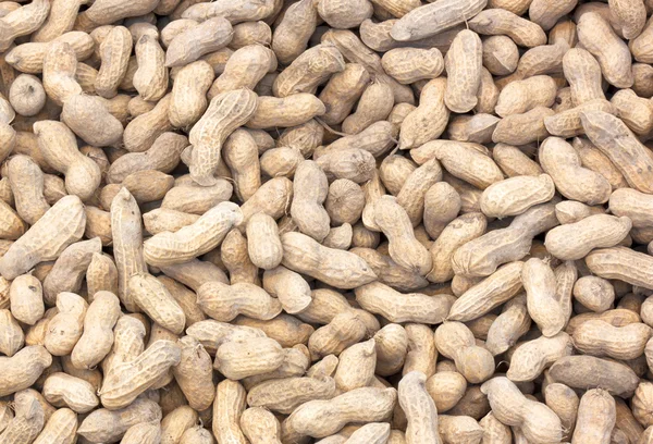 Groundnut — Stock Photo, Image