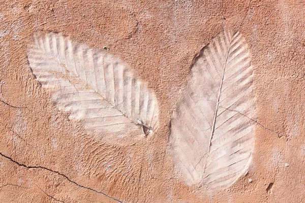 Marks of leaf — Stock Photo, Image