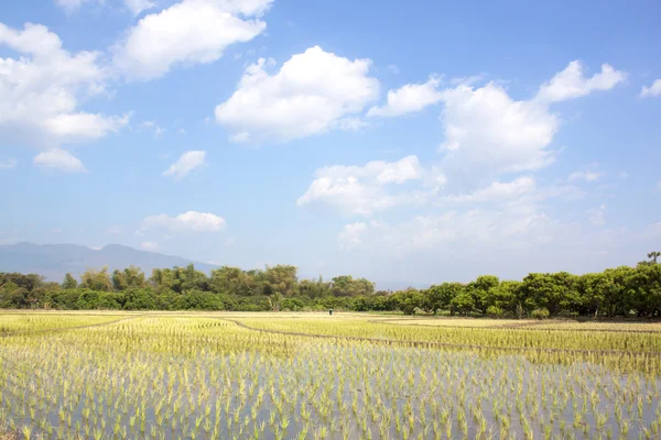 Hintergrund Landschaft — Stockfoto