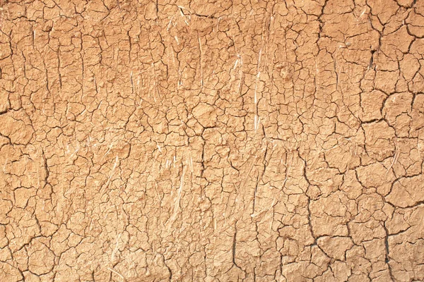 La sequía, las grietas del suelo — Foto de Stock