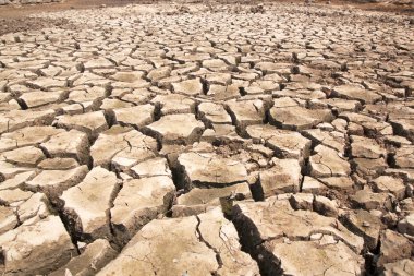 kuraklık