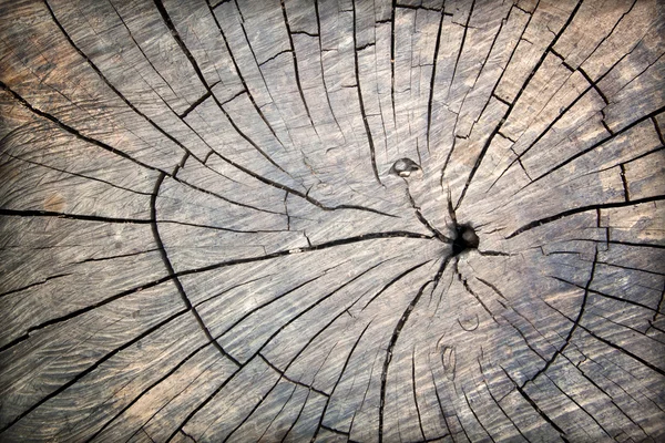 Old wood — Stock Photo, Image