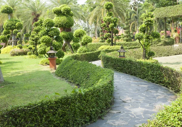 Сад Бонсая — стоковое фото