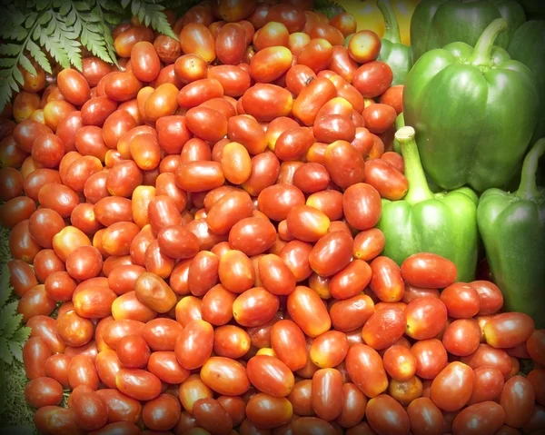 Tomates — Fotografia de Stock