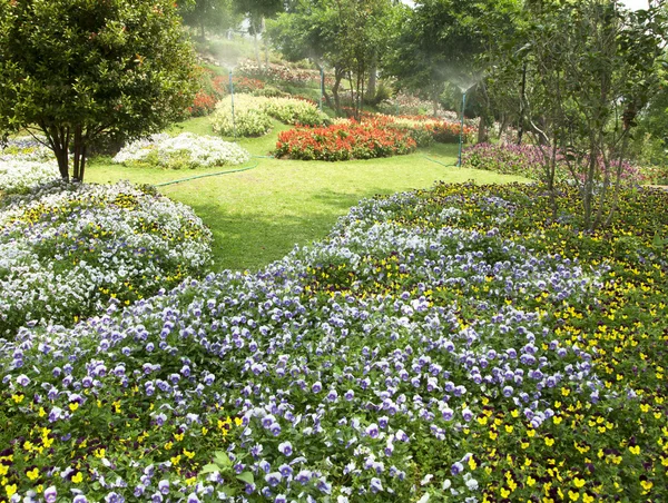Цветочный сад . — стоковое фото