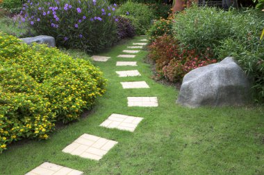 huzurlu bir yeşil Park yolu