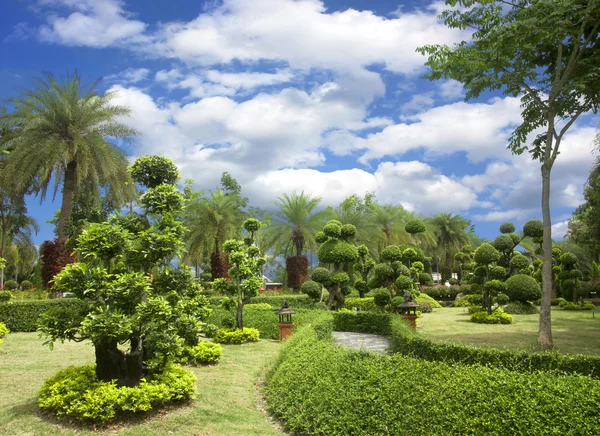 Giardino naturale di bonsai — Foto Stock