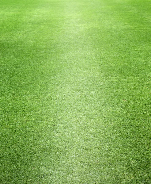 Green lawn — Stock Photo, Image