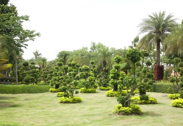 Jardín natural de bonsái —  Fotos de Stock