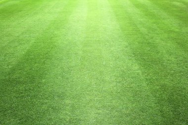 greensward futbol
