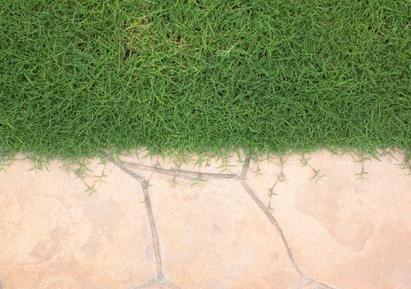 Chodník a tráva zelená. — Stock fotografie
