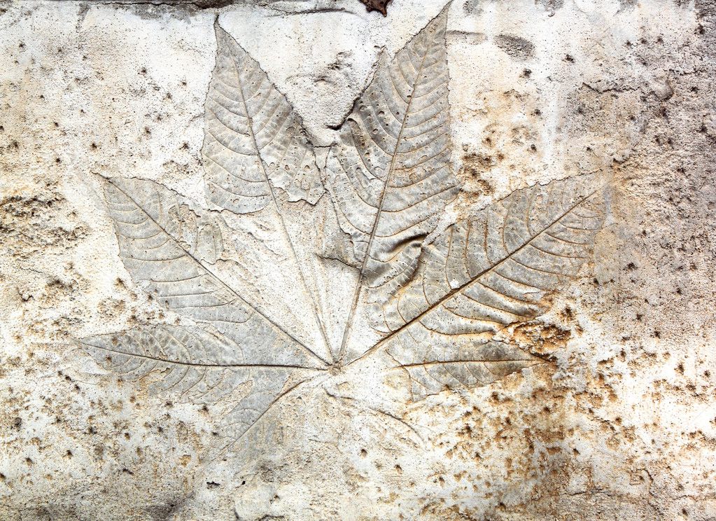 Leaf cement