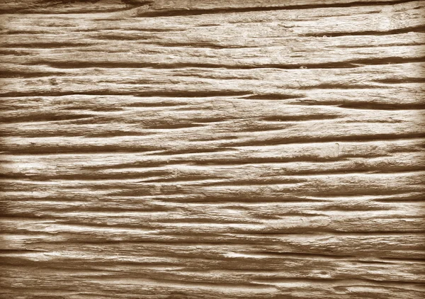 ツリーの古い木 — ストック写真