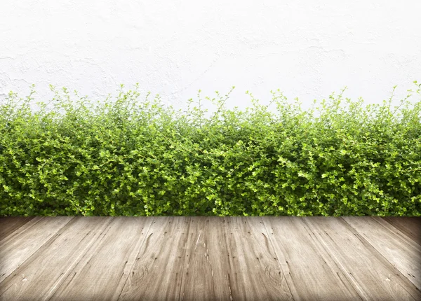 Старая стена и зеленая трава — стоковое фото