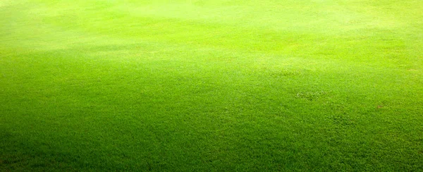 Gras Hintergrund Golfplätze Grün Rasen Muster Strukturiert Hintergrund — Stockfoto