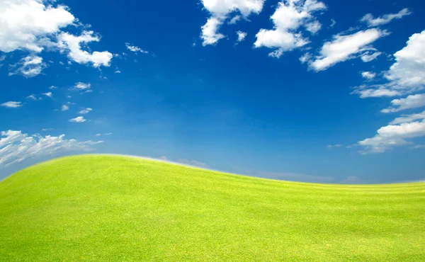 绿草草甸和天空领域 — 图库照片