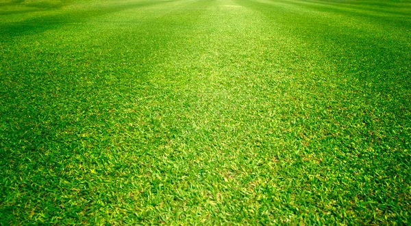 草の背景ゴルフコース緑の芝生のパターンテクスチャの背景 — ストック写真