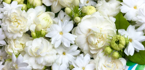 Beautiful Jasmine Background White Flowers — Stok fotoğraf