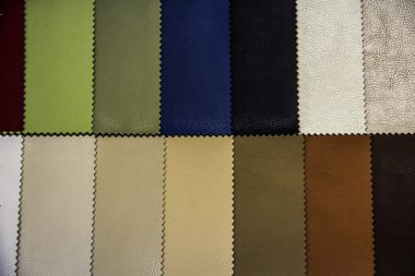 farklı bir renk deri